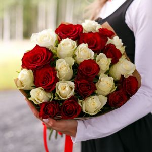 25 красных и белых роз Кения 35-40 см в упаковке