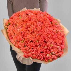 101 Кустовая Коралловая Роза в упаковке