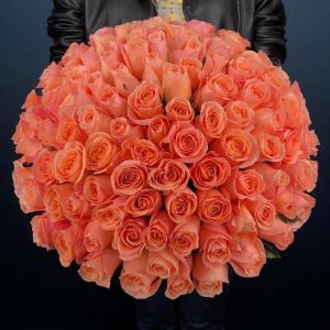 101 Коралловая Роза Кения 35-40 см