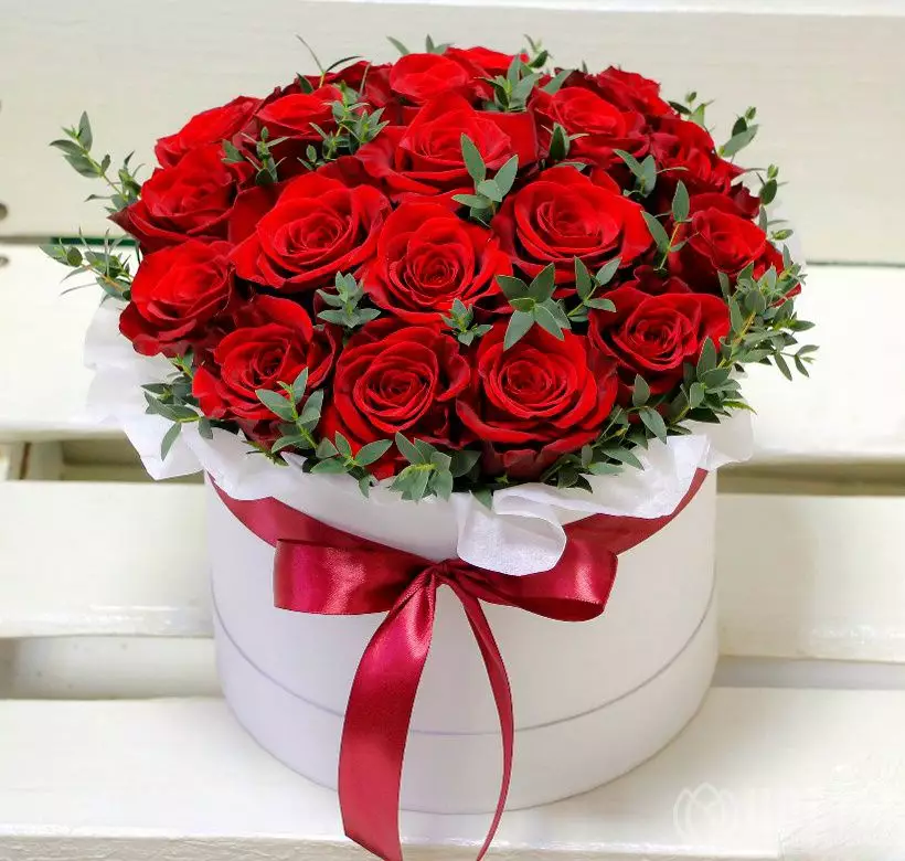 Букет 21 красная роза в шляпной коробке с зеленью №1