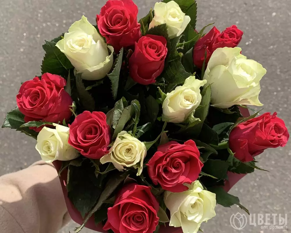 15 белых и красных роз Кения 35-40 см в упаковке №2