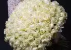 101 белой розы 60 см small №1