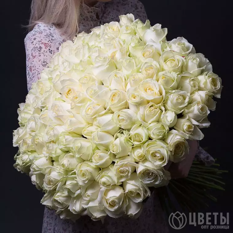 101 белой розы 60 см №1