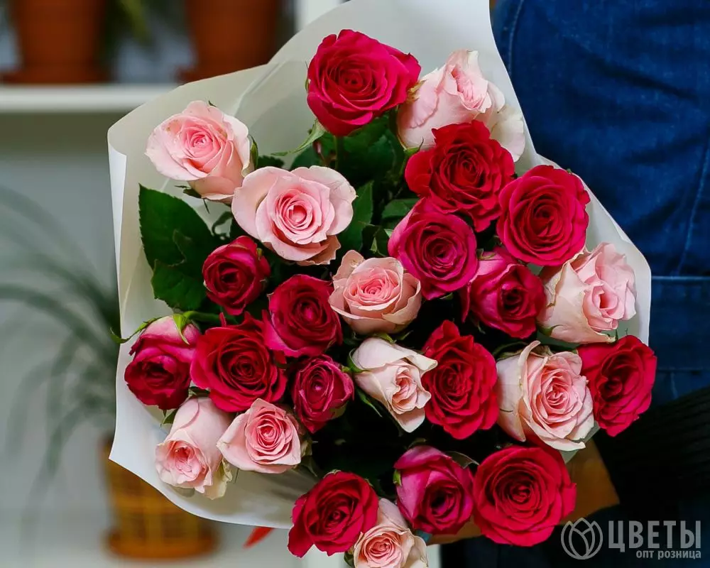 25 розовых роз Кения два цвета 35-40 см в упаковке №1