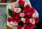 25 розовых роз Кения два цвета 35-40 см в упаковке small №1