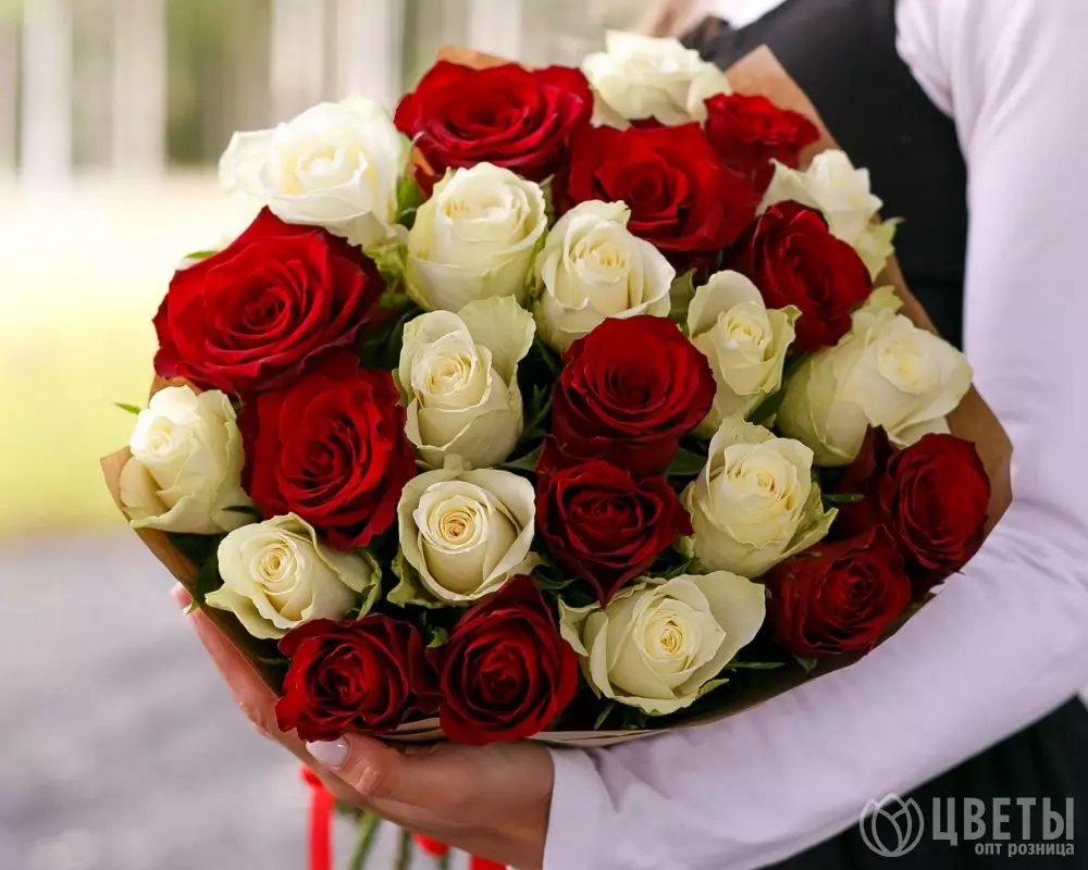25 красных и белых роз Кения 35-40 см в упаковке №1