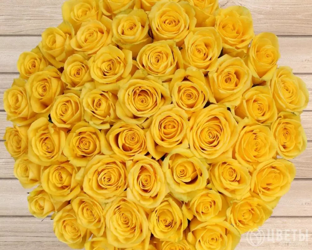 51 Желтая Роза (50 см.) №1