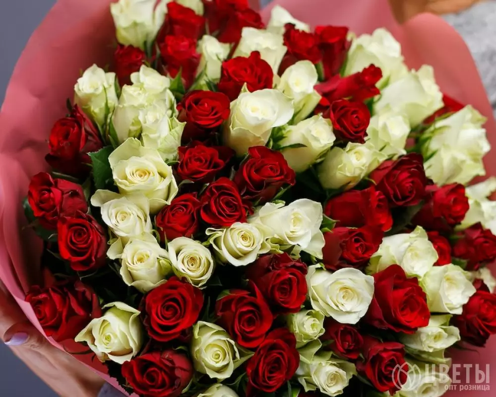 75 белых и красных роз Кения 35-40 см в упаковке №1