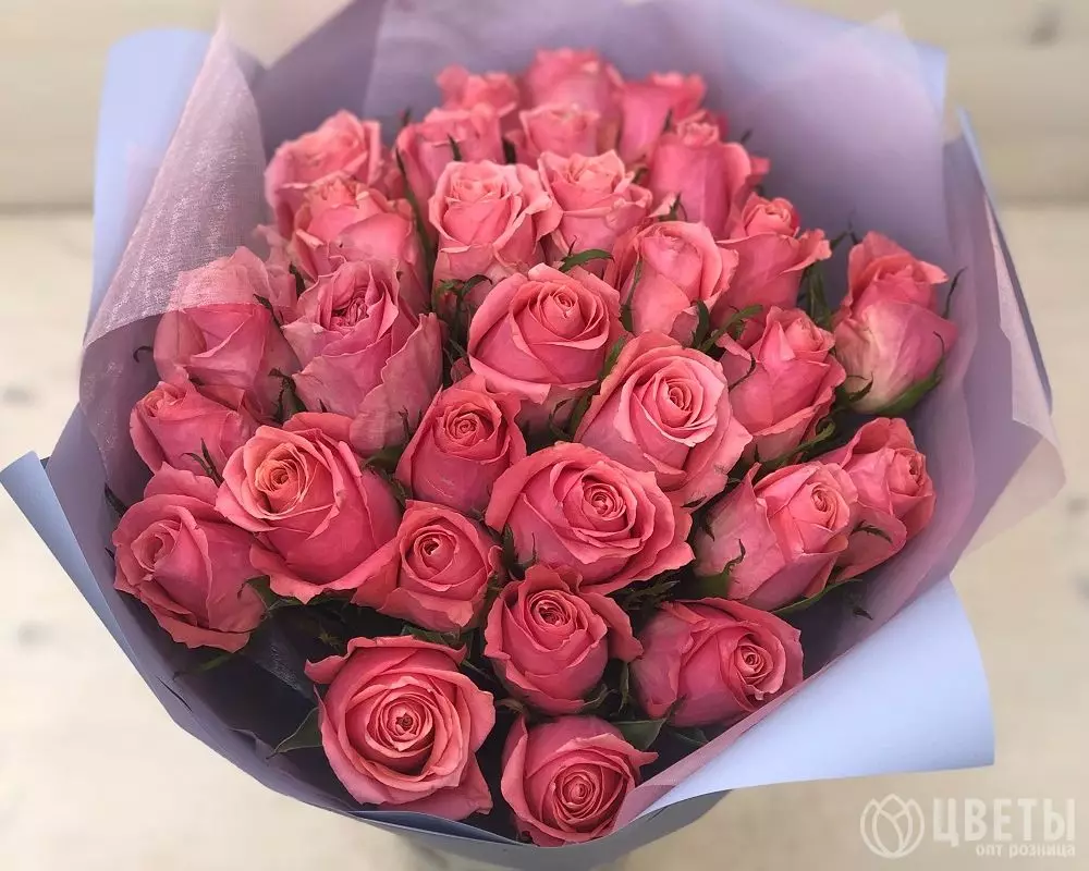 29 розовых роз Кении 35-40 см в упаковке №1