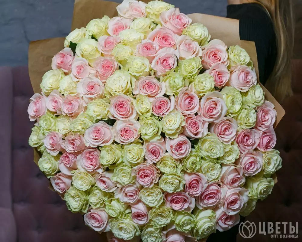 101 белой и розовой розы 60 см в упаковке №1