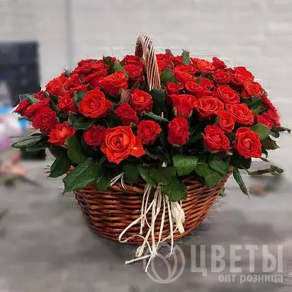 101 красной розы в корзине с зеленью №1