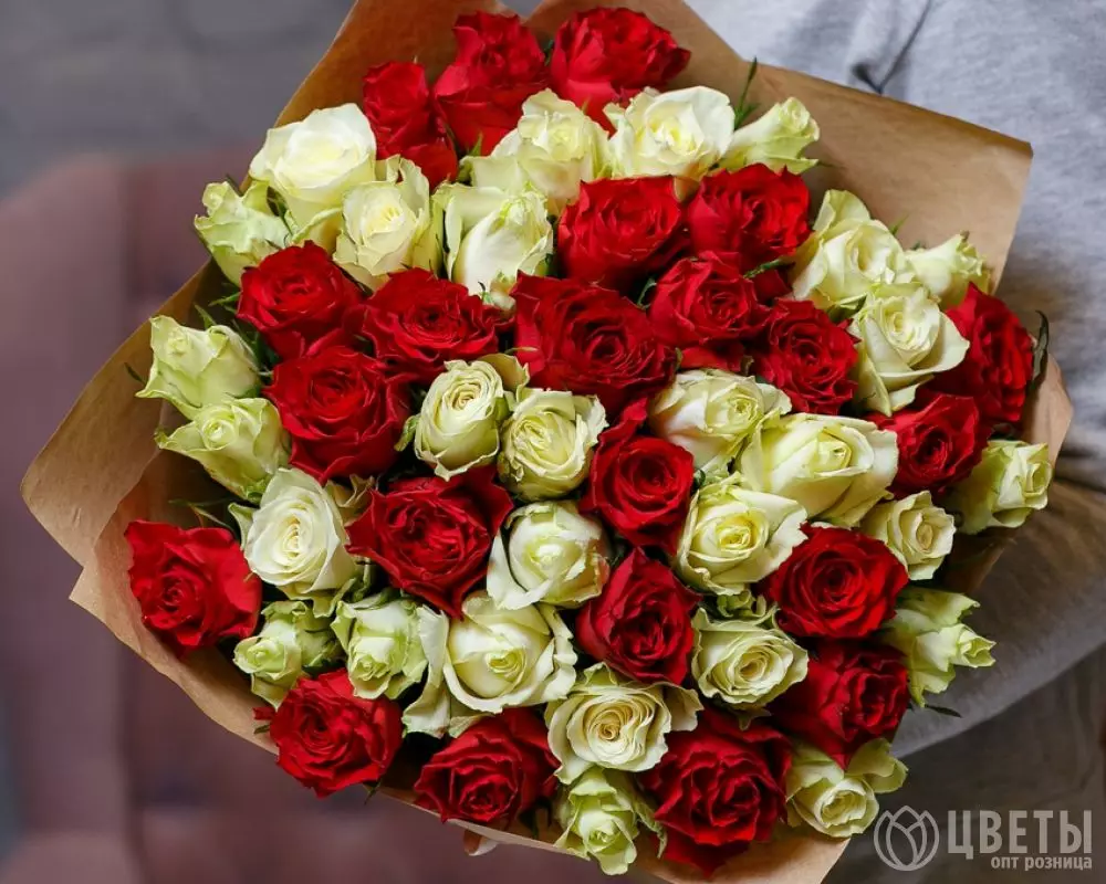51 белых и красных роз Кения 35-40 см в упаковке №2