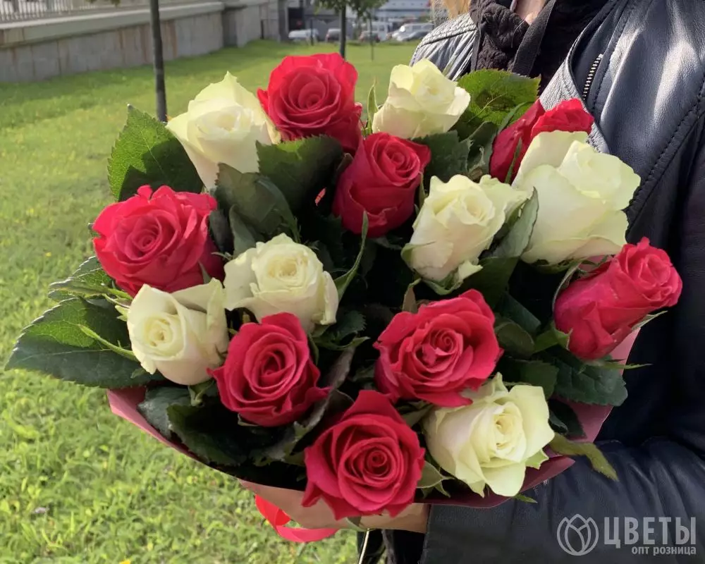 15 белых и красных роз Кения 35-40 см в упаковке №1