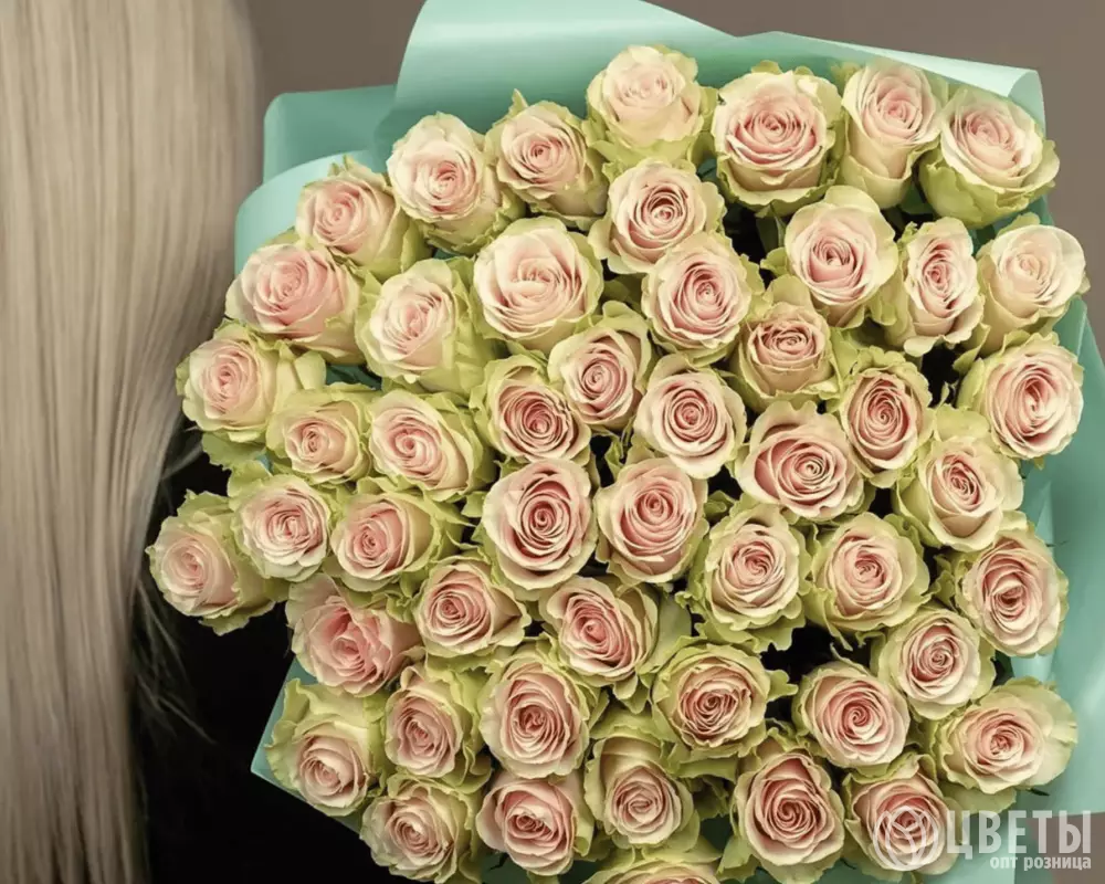 51 розовая роза Фрутетто 60 см в упаковке №1