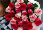 25 розовых роз Кения два цвета 35-40 см в упаковке small №2