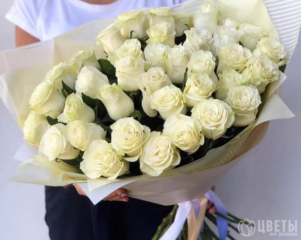 37 белой розы 60 см в упаковке №1